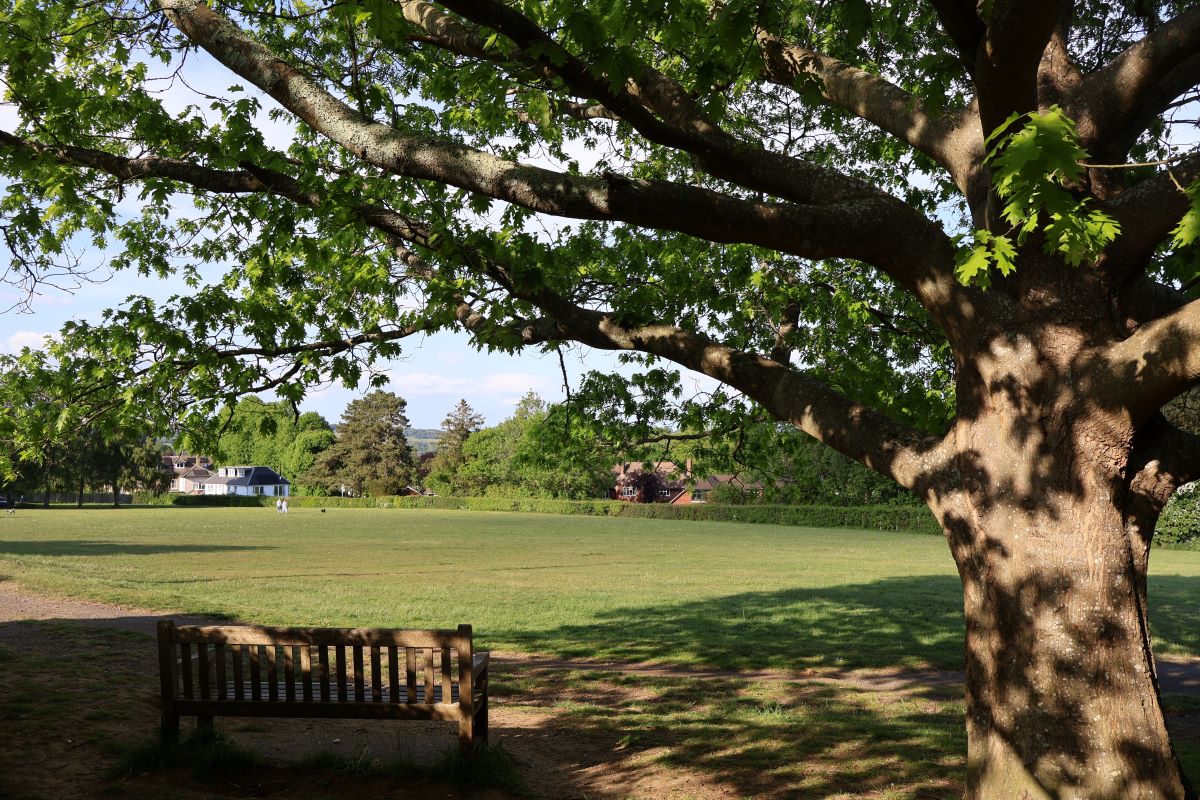 Sevenoaks Town Council aims to protect Hollybush Recreation Ground  