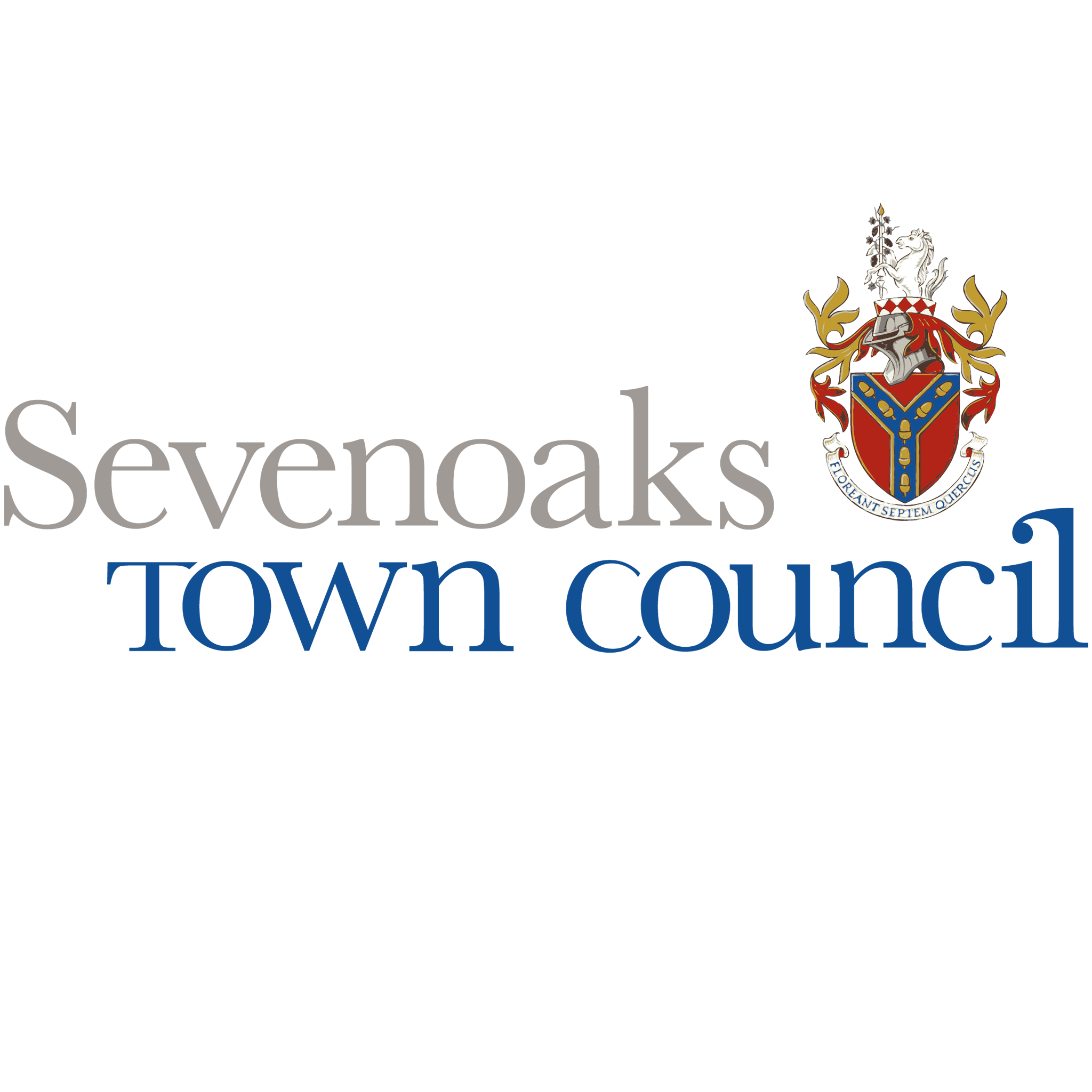 Sevenoaks Town Council awards grants to local voluntary organisations 