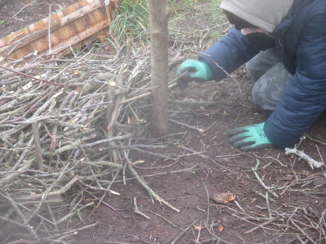 St John’s School and Quakers Hall Lane Allotments partnership delivers environmental and community benefits