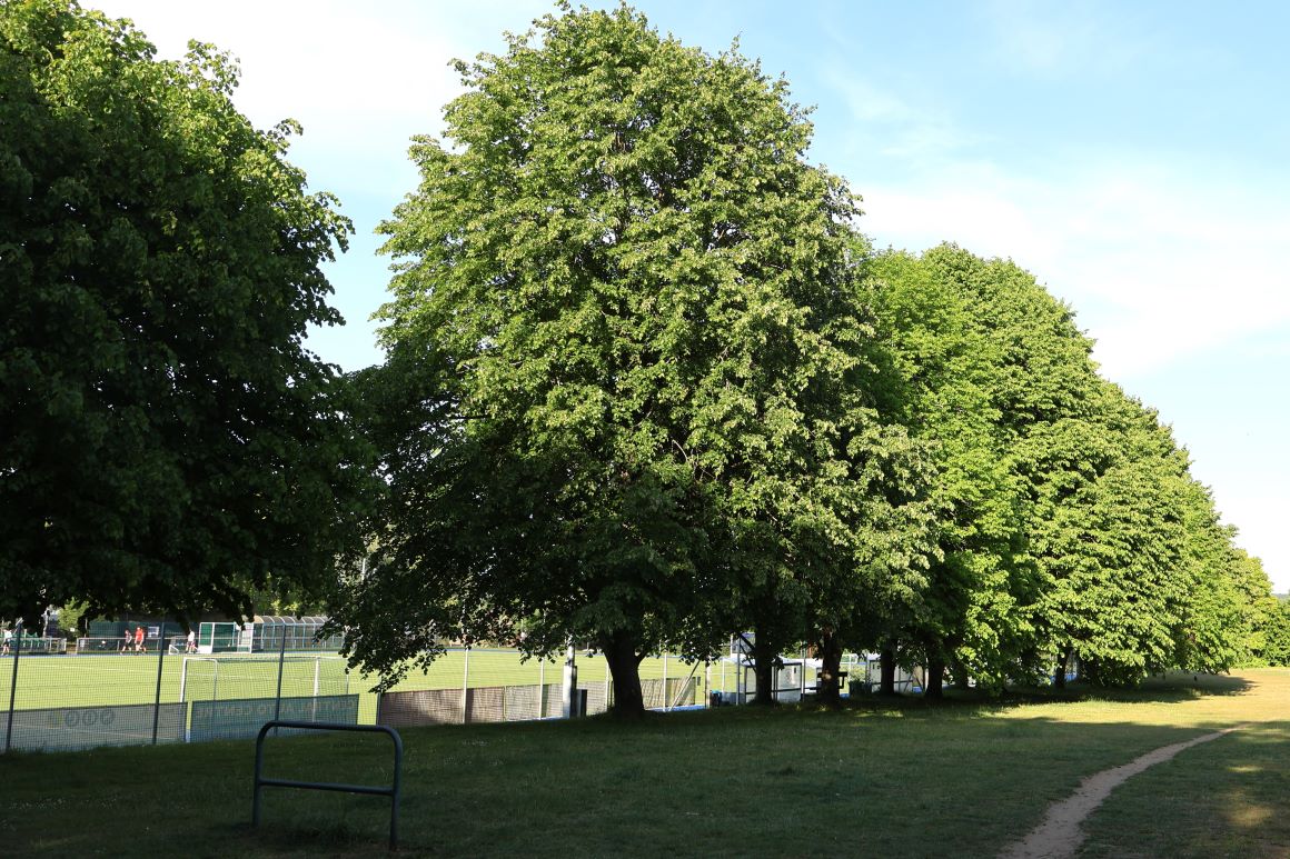 Photo of Hollybush Recreation Ground pitch