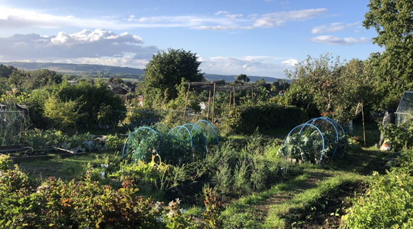 Allotments