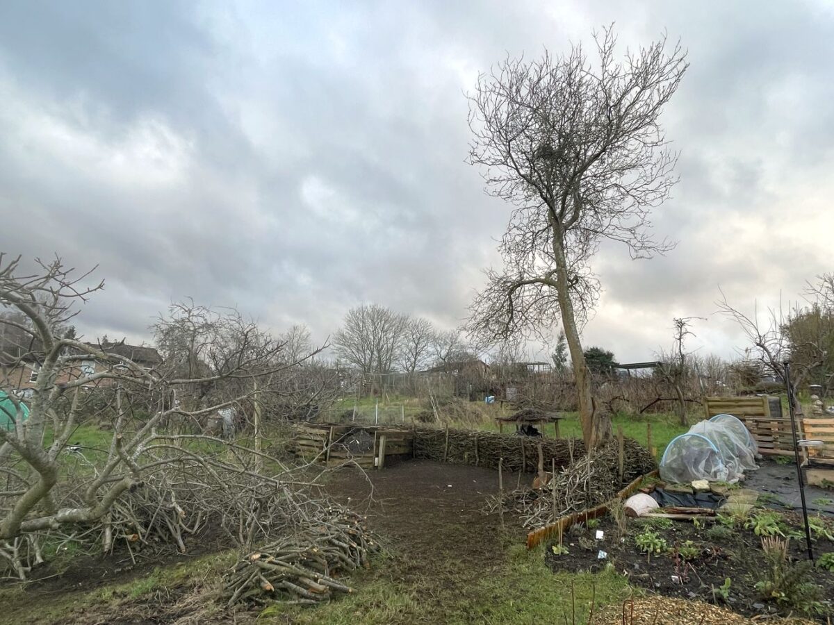 Forest School Dead Hedge Project