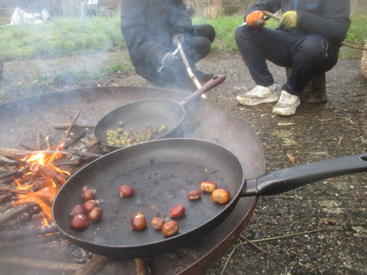 Forest School Project - roasting chestnuts